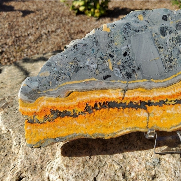 BIG, Bold Bumblebee Jasper Slab w/ stand - Indonesia - Picture 3 of 6